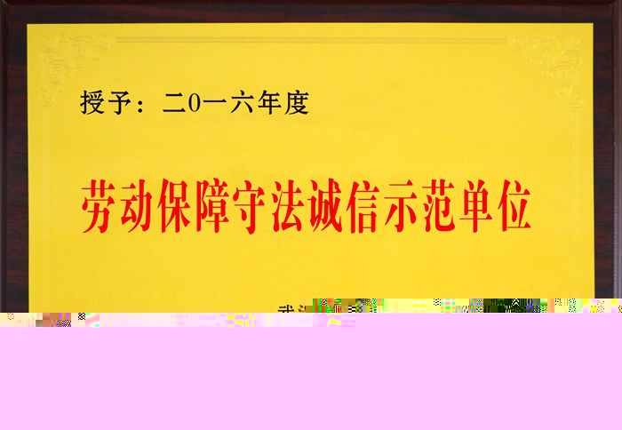 祝賀公司榮獲“2016年度武漢市勞動(dòng)保障守法誠(chéng)信示范單位”